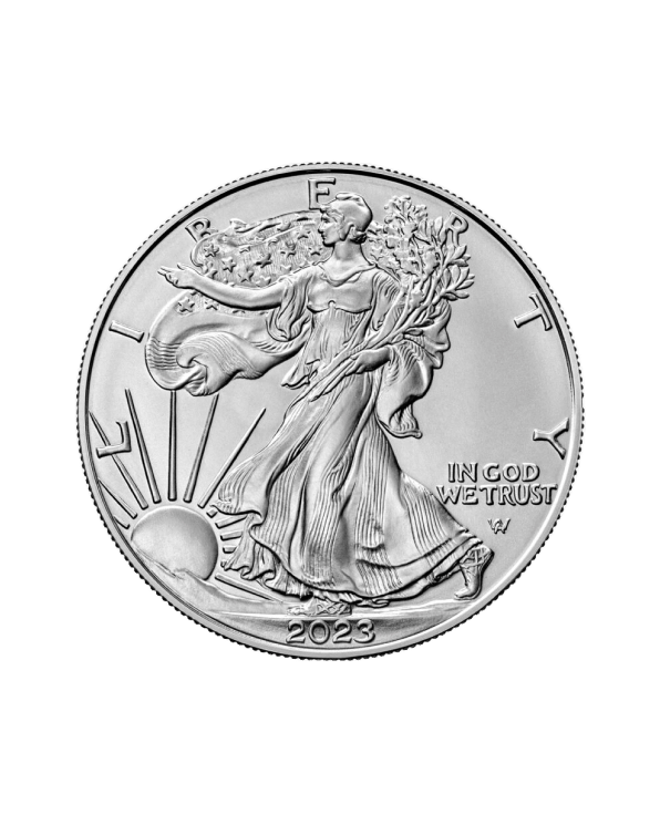 Silver American Eagle Coin-transparent